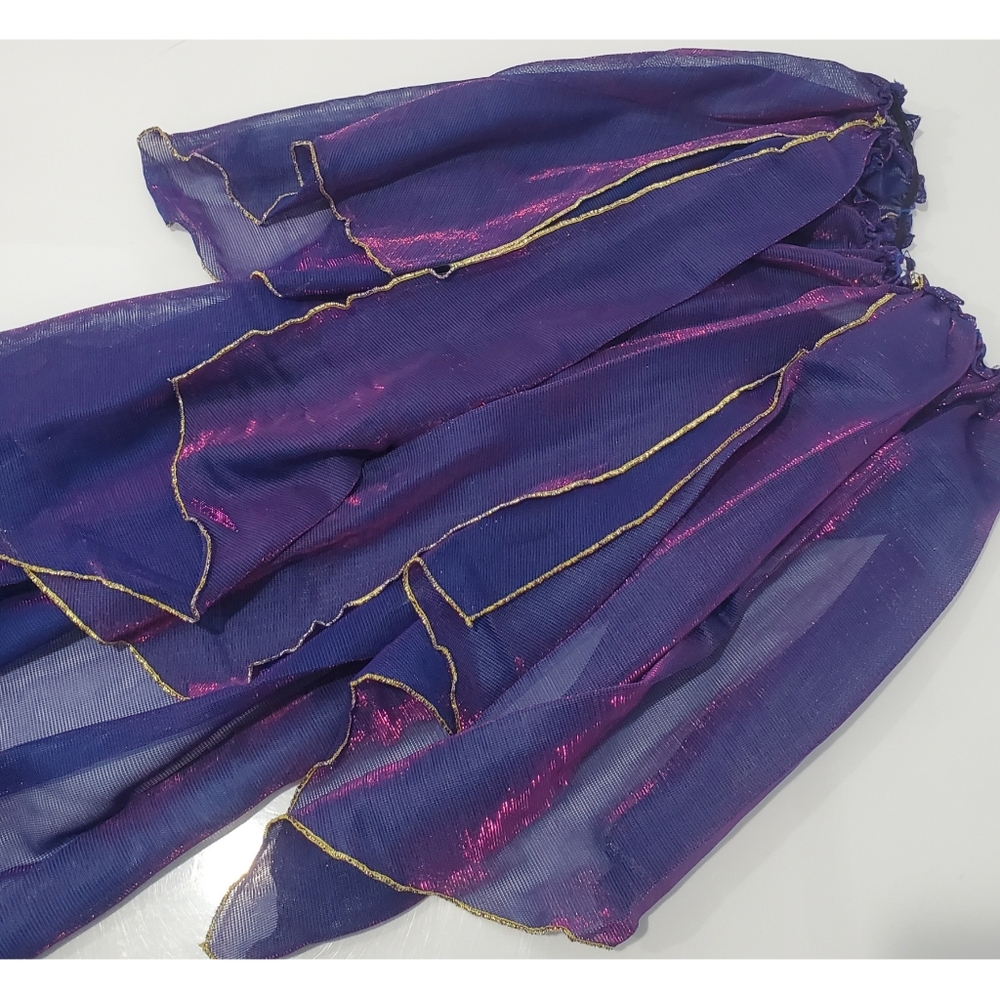 Princess Jasmine Halloween Costume - Picture 9 of 10